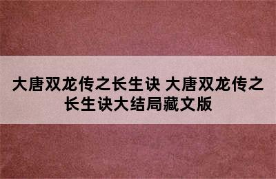 大唐双龙传之长生诀 大唐双龙传之长生诀大结局藏文版